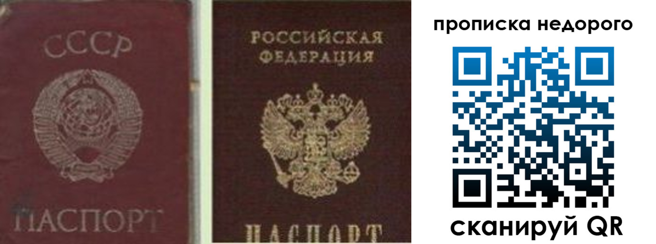 временная регистрация поиск в Королёве